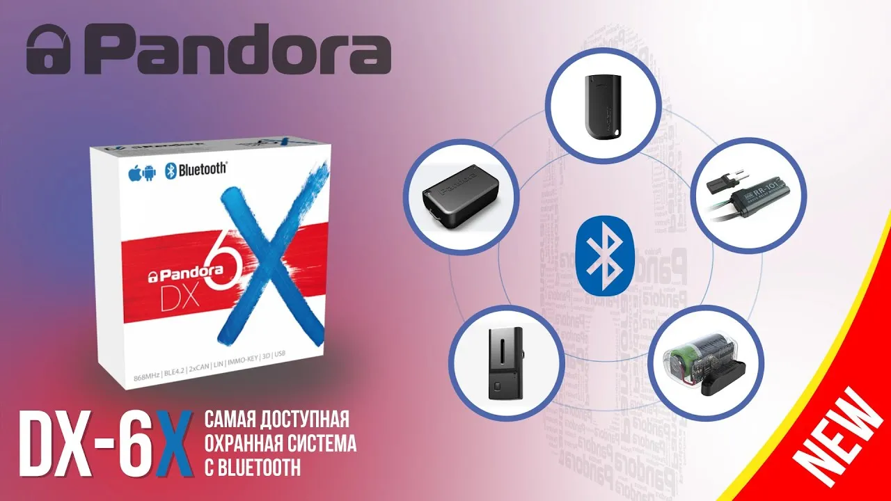 Обзор новинки 2019 года Pandora DX 6X